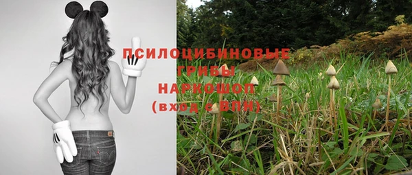 СК Абаза