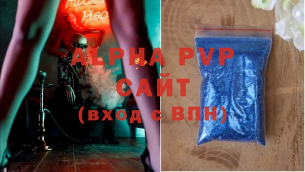 СК Абаза