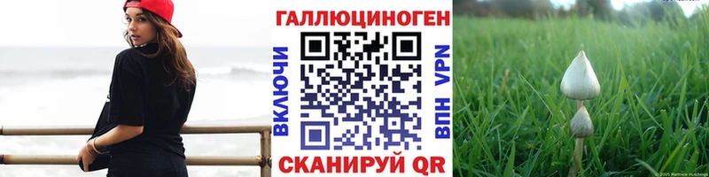 Галлюциногенные грибы Psilocybine cubensis  мега ONION  Вышний Волочёк 